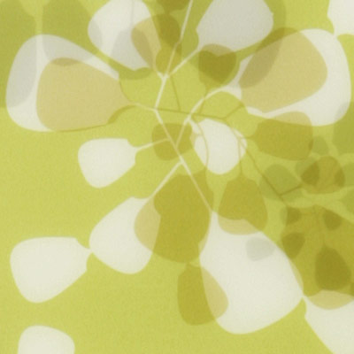 bloom lime