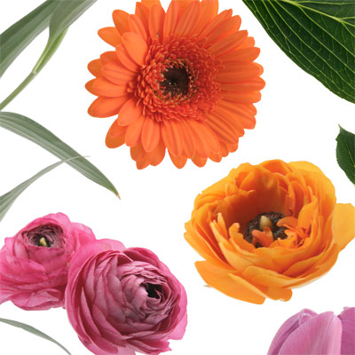 boutonniere