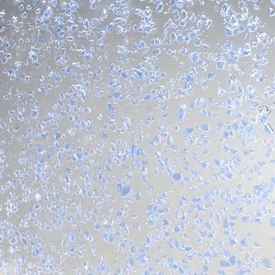 crush light blue