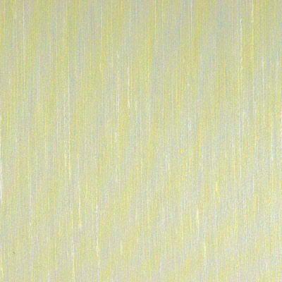 linea vert