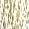 slant kelp