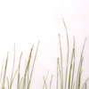 bear grass fade pressed | 3form