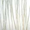 bear grass lite pressed | 3form