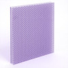 float large violet