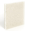 fizz oat