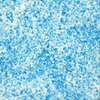 crush turquoise
