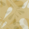bloom wheat