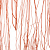 thicket fire