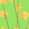 gingko thatch + lawn + vapor
