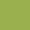 marsh