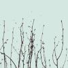 reef + birch grove