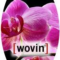 647high res wovin | 3form