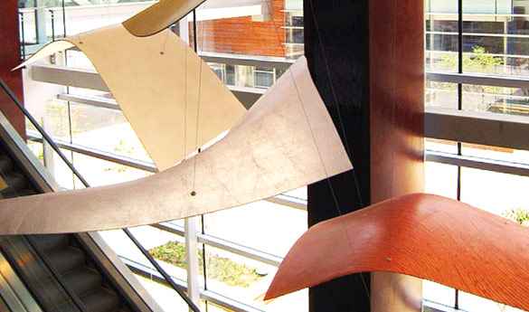 images/cms/adv/384_400-02-01_photo.jpg