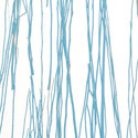 thicket ice