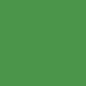 Cilantro g40