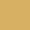 S-PNP-CHROMA_BUTTERSCOTCH_Y06