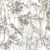 S-PNP-WHISPER