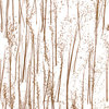 S-PNP-RICE_GRASS
