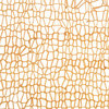 S-PNP-WOVEN_RAFFIA