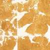 S-PNP-GILD_GOLD